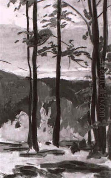 Im Wienerwald - view 1
