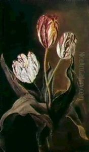 Etude De Trois Tulipes by Jan Frans Van Dael