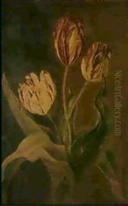 Trois Tulipes Coupees by Jan Frans Van Dael