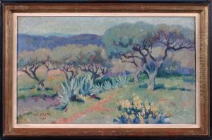Bord De Mer - Les Barques - Les Oliviers