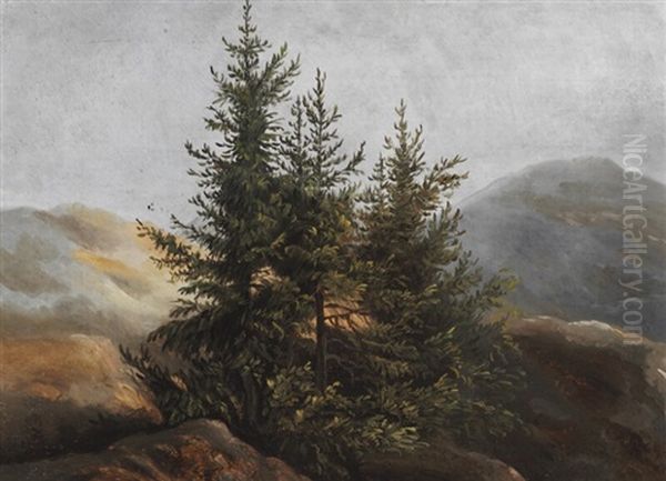 Pine Trees On A Mountaintop - view 1