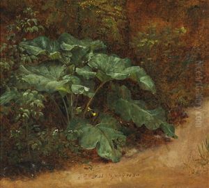 A Broad-leaved Dock (skraeppeplante) In The Forest Floor by Johan Wilhelm Ludwig Dahl
