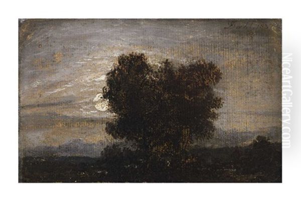 Moonlit Trees - view 1