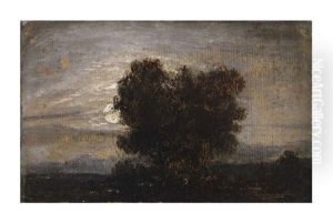 Moonlit Trees Moonlit Trees