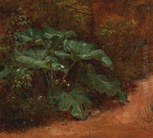 Botanisk Studie