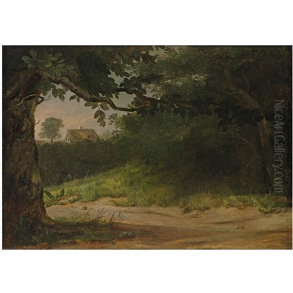 Dansk Landskap - view 1