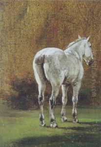 Studie Af En Hest Studie Af En Hest