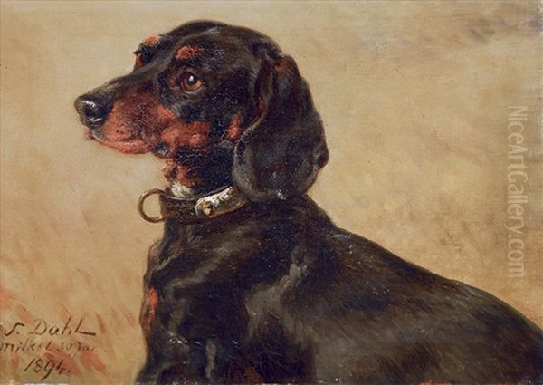 Portrait Of A Dachshund - view 1