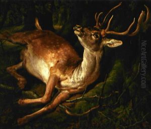Saret Dahjort I Skovbunden by Siegwald Johannes Dahl