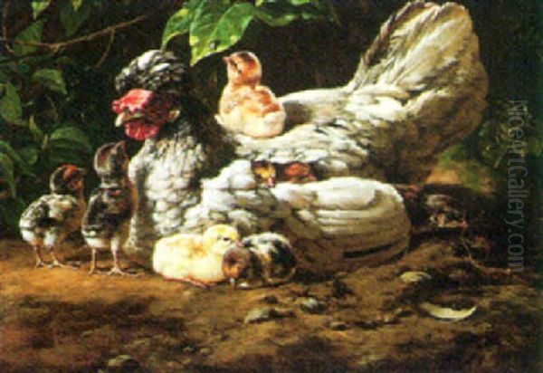 The Happy Family - view 1