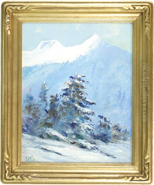 Mountain Landscape With Conifers In Winter - view 1