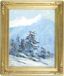 Mountain Landscape With Conifers In Winter