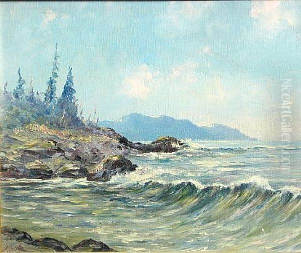 Alaska's Rocky Shore Line Near Ketchikan - view 1