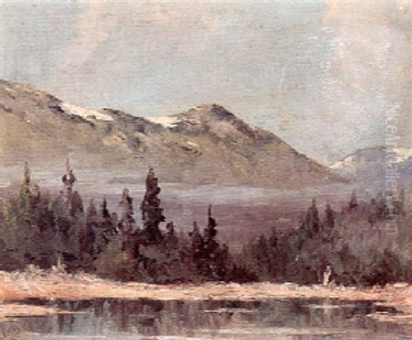 Mountain Lake And Tundra, Near Ketchikan, Alaska - view 1
