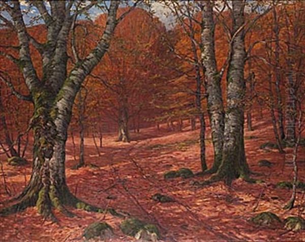 Bokskog - view 1
