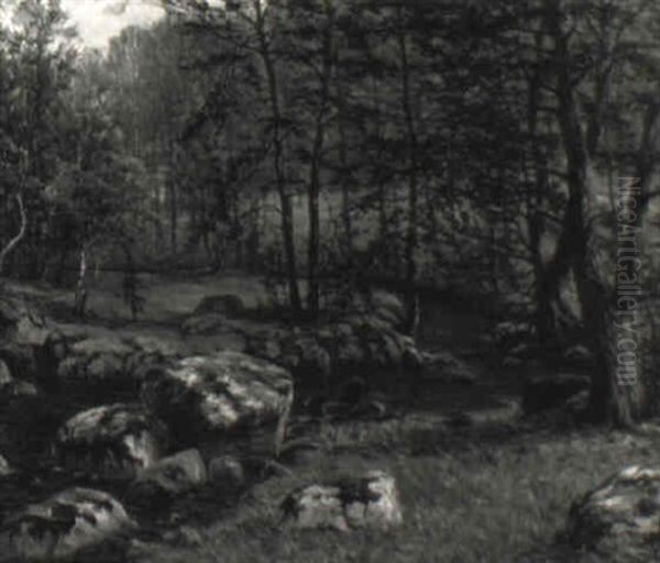 Bokskog Med B,ck - view 1