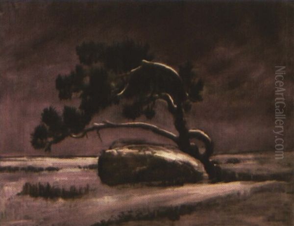 The Lonely Tree - view 1