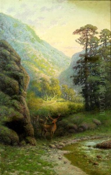 Deer In The Foothills - view 1