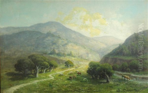 Cows Grazing With Mount Tamalpais Beyond - view 1