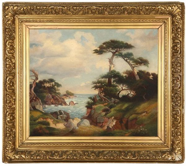 China Cove, Point Lobos - view 1
