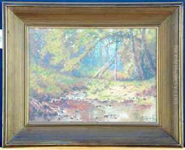 Creek In Forest Interior - view 1