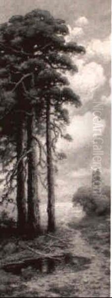 Sunlit Landscape - view 1