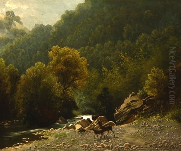 Deer Stream - view 1