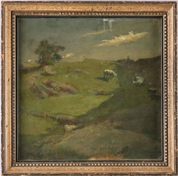 Cows - view 1