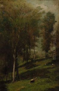 Sheep Grazing In Woodland