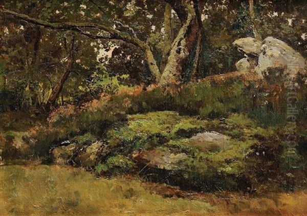 Rochers En Foret De Fontainebleau - view 1