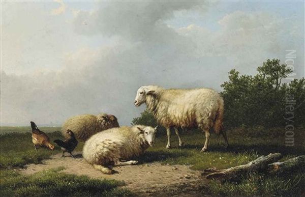 Sheep And Chicken In A Field - view 1