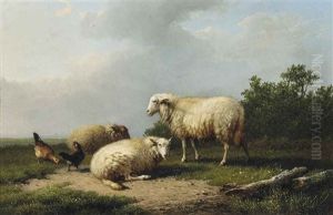Sheep And Chicken In A Field Sheep And Chicken In A Field