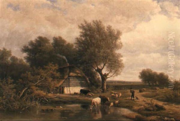 Cattle And Sheep Watering By A Pond - view 1