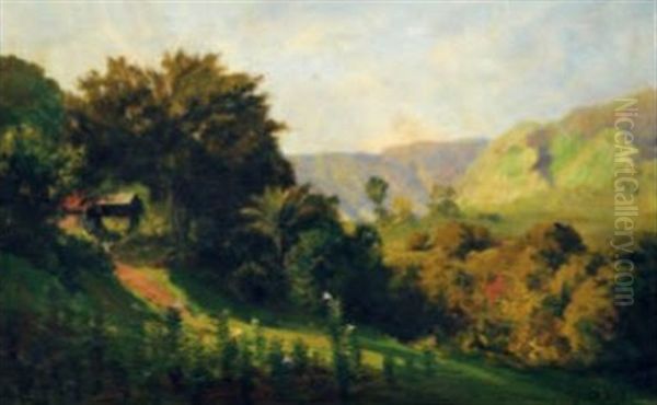 Landscape - view 1