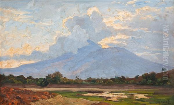 A Sawah Landscape With A Volcano In The Distance - view 1