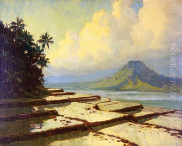 A View Of Sawah With Mountain In The Distance - view 1