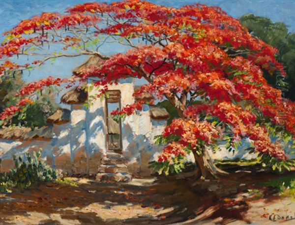 The Flamboyant Tree - view 1