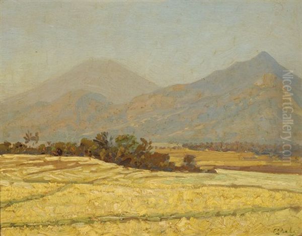 A Javanese Landscape - view 1