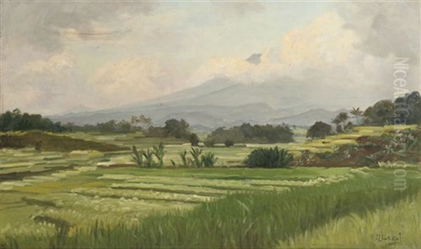 A Sawah Landscape - view 1