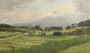 A Sawah Landscape