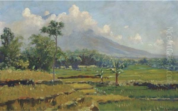 Landschap In West Java (gedeh) - view 1