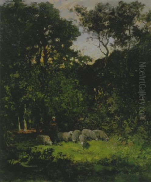 Schapenhoedster In Het Twickelerbos Bij Delden - view 1