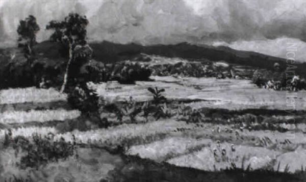 Mount Merapi By Upcoming Thunder, Java - view 1