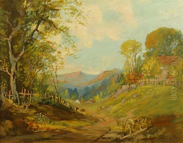 Scene In Bennett Valley, California - view 1