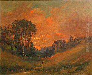 Marin Landscape At Sunset by Tilden Daken