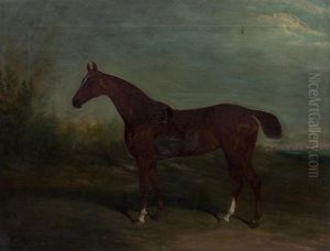 Portrait Of A Chesnut Horse With Docked Tail