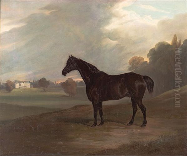 Black Stallion In Landscape, Elsenham Hall - view 1
