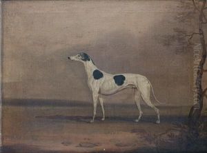 A Portrait Of The Greyhound Newton