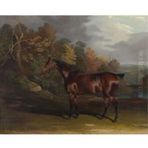 A Bay Hunter In A Sylvan Landscape by David of York Dalby