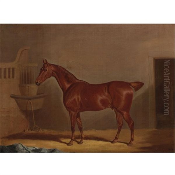Chestnut Horse In A Loose Box - view 1
